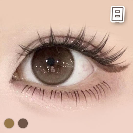 #CD22 豆乳 棕巧/灰褐【10片装】国产精品 / 14.5mm日抛 商品图3