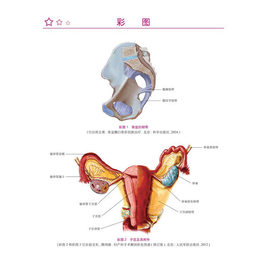 中西医临床妇产科学 牛建昭 薛晓鸥 主编 附赠专家讲座视频 病案及分析 可供中西医临床教学 科研工作者阅读参考 科学出版社 商品图4