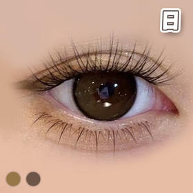 #CD22 豆乳 棕巧/灰褐【10片装】国产精品 / 14.5mm日抛