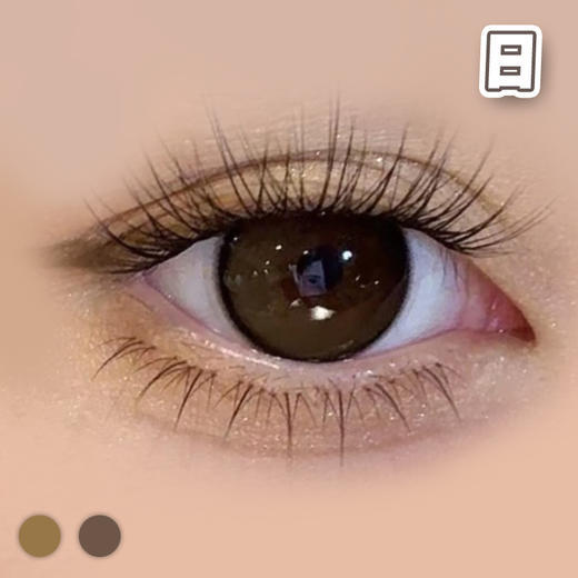 #CD22 豆乳 棕巧/灰褐【10片装】国产精品 / 14.5mm日抛 商品图0