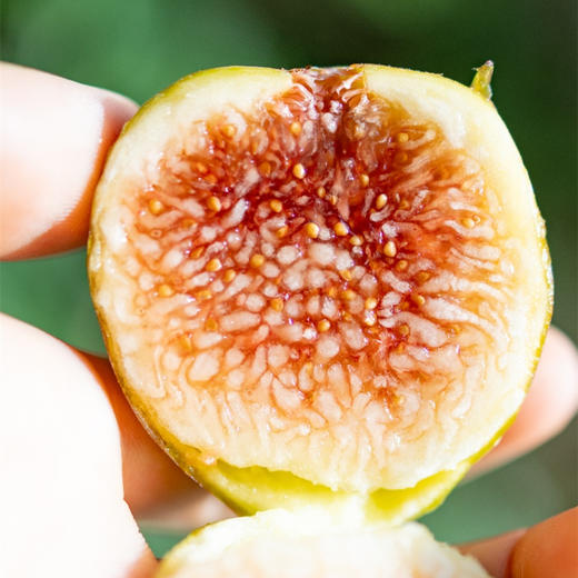 极客无花果•花香蜜丨新品种，软糯蜜甜，独特花香。树上自然成熟的无花果有的表皮会有黑斑，会有裂口和轻微破皮，剥皮后不影响食用，个别地区气温低，轻微受冻不在售后范围，介意勿拍。⭐️顺丰空运 商品图8