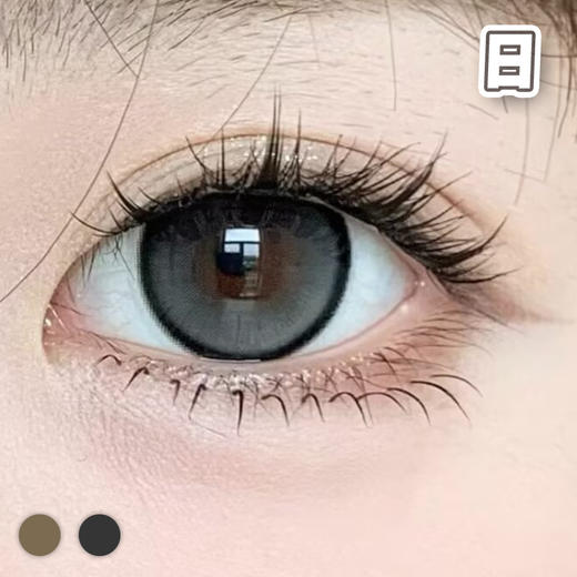 #CD28蜜糖星星 棕褐/黑灰【10片装】国产精品 / 14.5mm日抛 商品图0