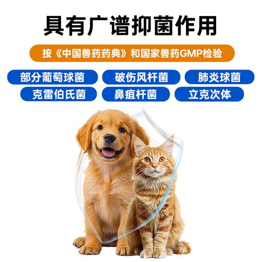 【澳龙】宠多希盐酸多西环素片 猫咪狗猫鼻支狗狗咳嗽感冒猫口炎感染发炎 商品图1