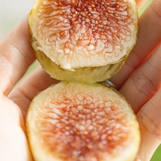 极客无花果•花香蜜丨新品种，软糯蜜甜，独特花香。树上自然成熟的无花果有的表皮会有黑斑，会有裂口和轻微破皮，剥皮后不影响食用，个别地区气温低，轻微受冻不在售后范围，介意勿拍。⭐️顺丰空运 商品图9