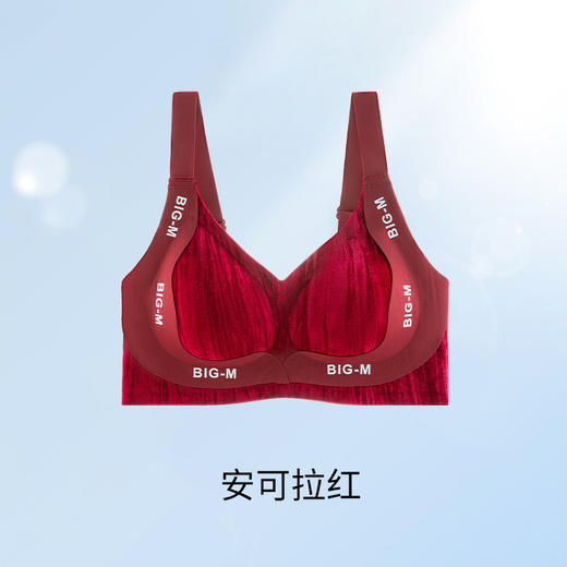 【本命年！金丝绒提拉无痕内衣】 果冻胶女薄款固定杯 大胸显小本命年大红色聚拢文胸罩 商品图5