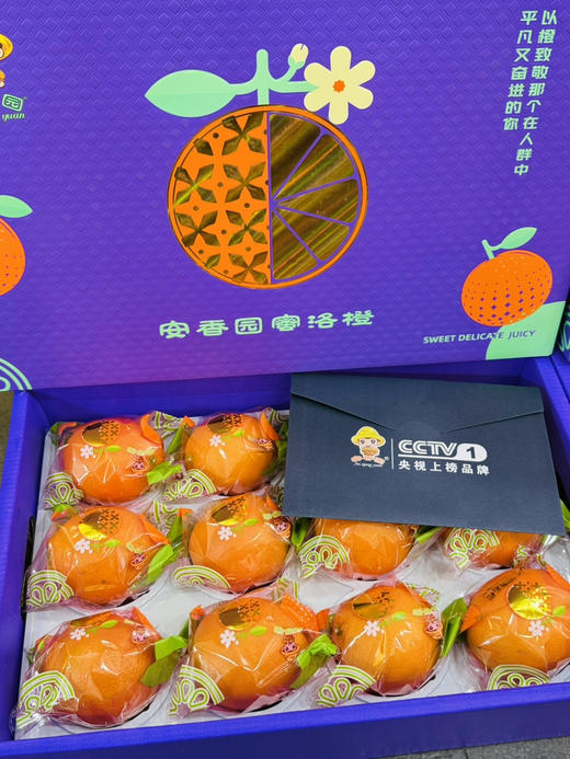 安香园蜜洛橙礼盒装（12个装） 商品图0