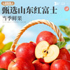 旭东纯苹果干百里挑一休闲追剧零食新货办公室小吃水果干 商品缩略图3