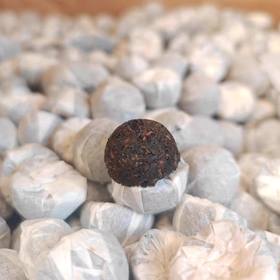 1998年子弹头沱茶老熟茶，边销精品，陈香木质香凸显，一斤装，喜欢老熟茶的朋友可以看过来