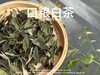 【口粮茶白茶】2026年送给茶友们的第一份心意好礼，2023白牡丹，满口花香盈满，如百花繁茂，盛开于口中！ 商品缩略图3