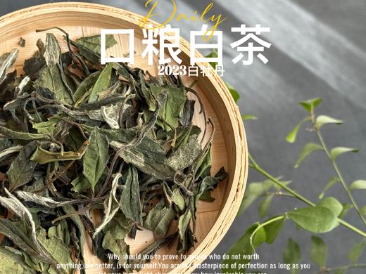 【口粮茶白茶】2026年送给茶友们的第一份心意好礼，2023白牡丹，满口花香盈满，如百花繁茂，盛开于口中！ 商品图3