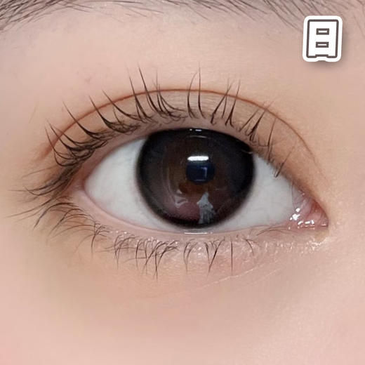 #CD-16 腮红黑 14.2mm 【10片装】国产精品 / 日抛 商品图2