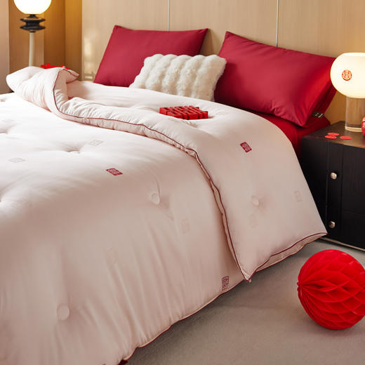 剪花蚕丝蛋白喜嫁被子被芯 轻奢结婚喜庆陪嫁被芯 商品图3