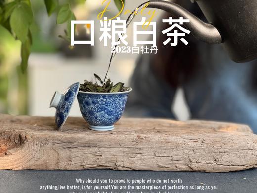 【口粮茶白茶】2026年送给茶友们的第一份心意好礼，2023白牡丹，满口花香盈满，如百花繁茂，盛开于口中！ 商品图6