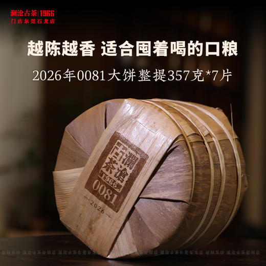 澜沧古茶2026年0081大饼普洱茶熟茶云南茶叶乔木老树口粮经典 商品图5