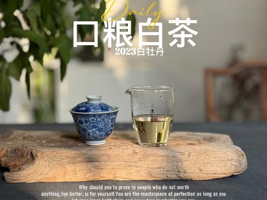 【口粮茶白茶】2026年送给茶友们的第一份心意好礼，2023白牡丹，满口花香盈满，如百花繁茂，盛开于口中！ 商品图10