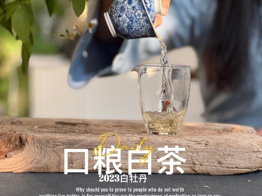 【口粮茶白茶】2026年送给茶友们的第一份心意好礼，2023白牡丹，满口花香盈满，如百花繁茂，盛开于口中！ 商品图7