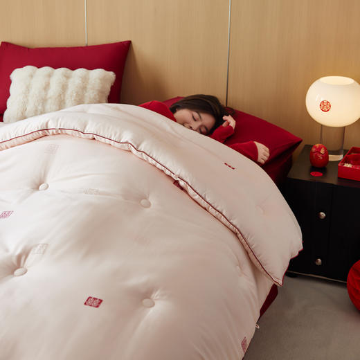 剪花蚕丝蛋白喜嫁被子被芯 轻奢结婚喜庆陪嫁被芯 商品图7