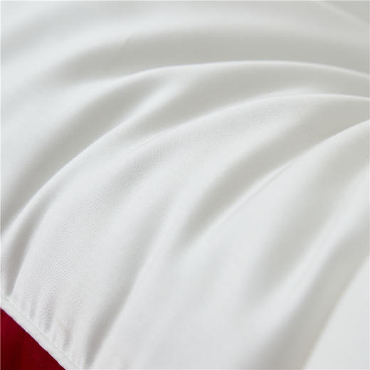 玫瑰同心婚庆枕 高端全棉莱赛尔天丝结婚枕芯 商品图7