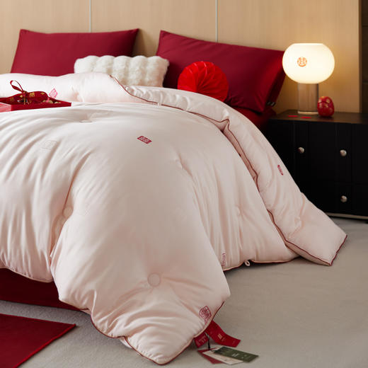 剪花蚕丝蛋白喜嫁被子被芯 轻奢结婚喜庆陪嫁被芯 商品图2