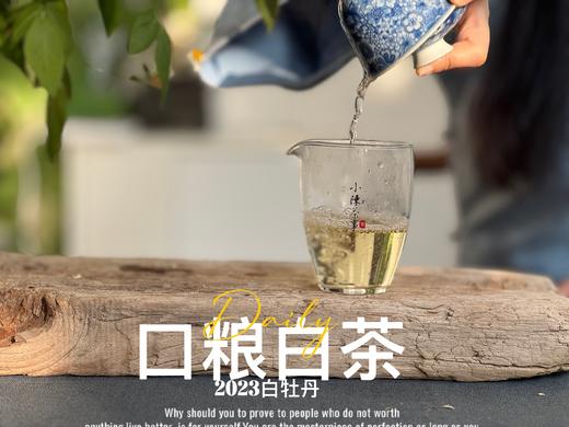 【口粮茶白茶】2026年送给茶友们的第一份心意好礼，2023白牡丹，满口花香盈满，如百花繁茂，盛开于口中！ 商品图8
