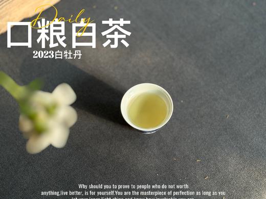 【口粮茶白茶】2026年送给茶友们的第一份心意好礼，2023白牡丹，满口花香盈满，如百花繁茂，盛开于口中！ 商品图11