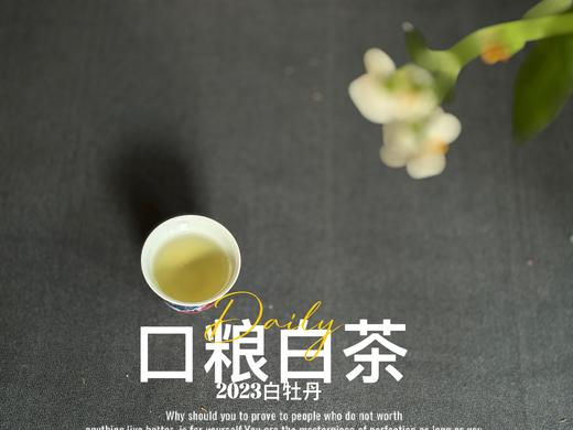 【口粮茶白茶】2026年送给茶友们的第一份心意好礼，2023白牡丹，满口花香盈满，如百花繁茂，盛开于口中！ 商品图12