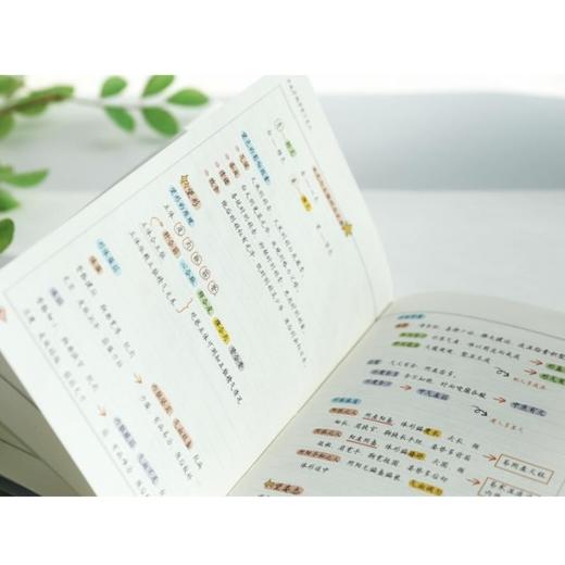 中医诊断学学习笔记 商品图4