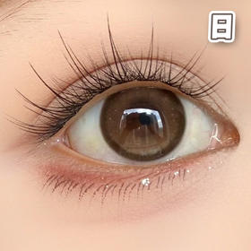 #杏仁松露 巧棕 14.2mm 8.5基弧【10片装】国产镜片 / 日抛