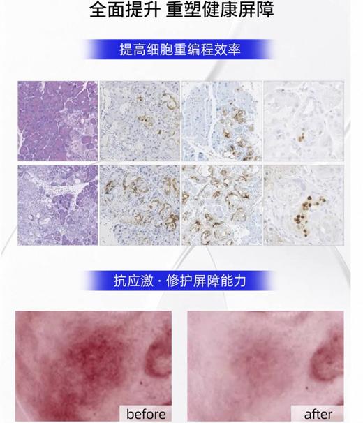瑞士VB12舒缓淡纹修复面霜-50ml 商品图2