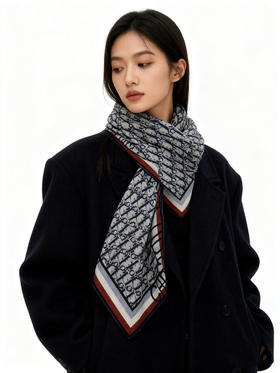 秋冬特惠💰420 迪家围巾【D边框老花】度假及日常都非常好搭配的款