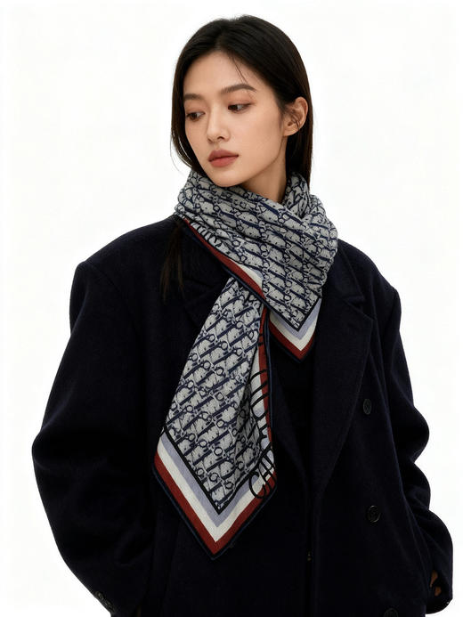 秋冬特惠💰420 迪家围巾【D边框老花】度假及日常都非常好搭配的款 商品图0