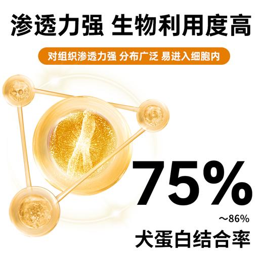 【澳龙】宠多希盐酸多西环素片 猫咪狗猫鼻支狗狗咳嗽感冒猫口炎感染发炎 商品图2