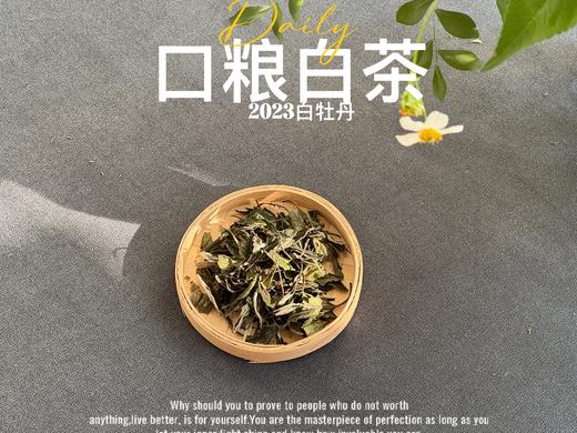 【口粮茶白茶】2026年送给茶友们的第一份心意好礼，2023白牡丹，满口花香盈满，如百花繁茂，盛开于口中！ 商品图4