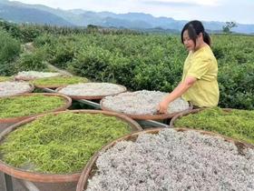 一种“抗老”营养素，常吃皮肤嫩、骨骼强、血管韧，越吃越年轻~