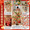 【马年福利❗️9.9抢36件🔥新年挂件】把“福气和年味“带回家，喜庆氛围轻松营造！吊卡装饰品挂件2026春节过年树上布置盆栽绿植小灯笼挂饰 商品缩略图3