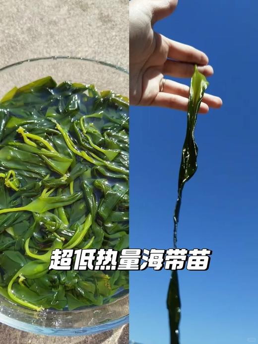 & 超值新客福利，鱼虾蟹套餐秒杀268‼  下单送青龙虾一只，先到先得‼ 【活冻】 商品图5