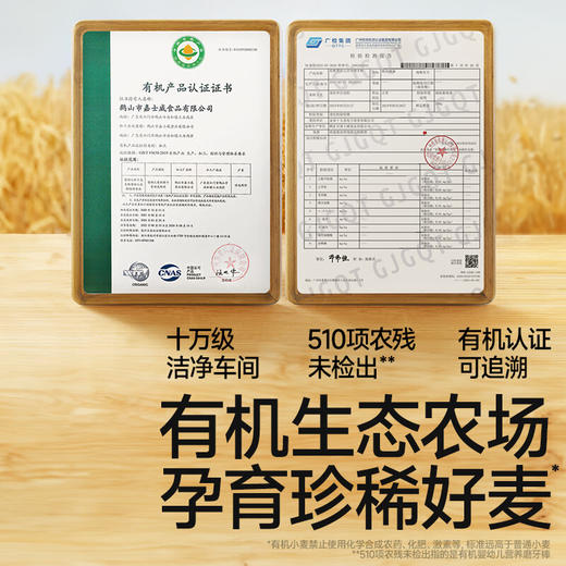 秋田满满--有机婴幼儿磨牙棒64g 商品图1