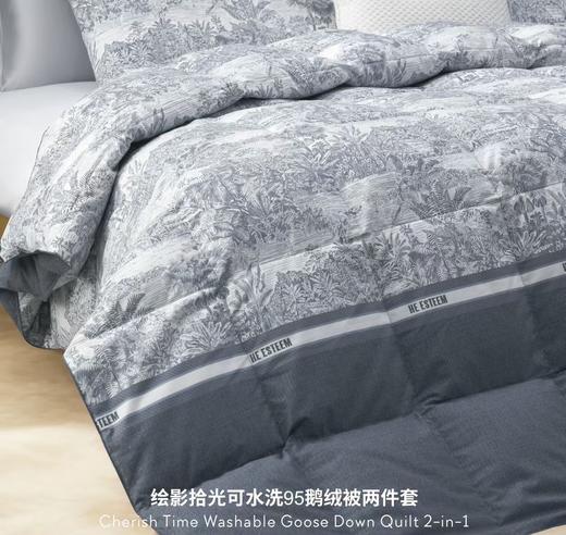 【春上新】10楼 宜庭 绘影时光可水洗95%鹅绒被两件套 吊牌价9800-13800元 活动价2999-4199元 商品图1