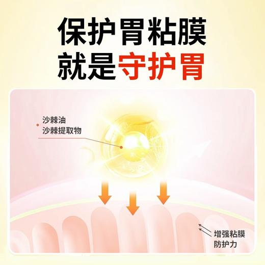 【江中】康普田月牌沙棘油沙棘提取物软胶囊 100:1浓缩沙棘护胃精华 保护胃黏膜 养胃更护胃 商品图2