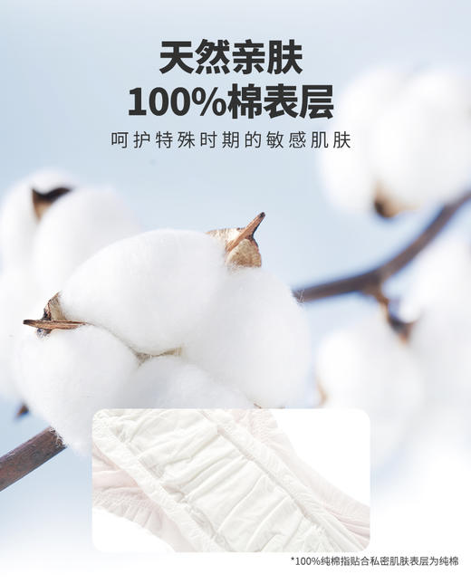 【6折】3楼爱慕健康 全棉超柔裤型卫生巾 JS150303【12片装】 商品图1