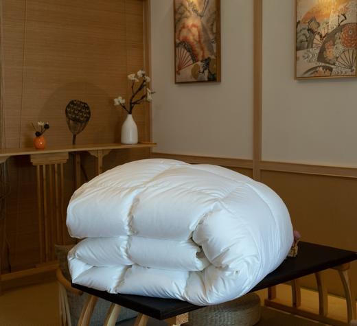 日系羽绒被 商品图4