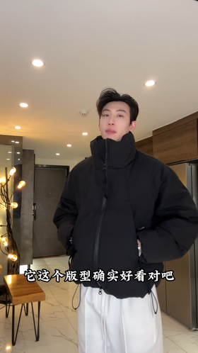 W0369SDSA男士秋冬新款痞帅男装极简风解构廓形户外立领羽绒服外套百搭