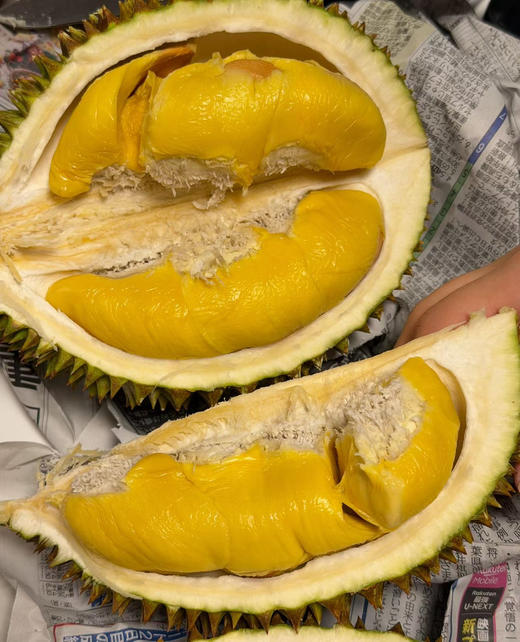 马来西亚猫山王榴莲鲜果（散称39.8/斤 称重补差）默认剥好 商品图0