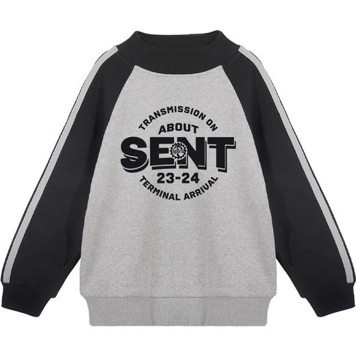 男童卫衣春秋款儿童秋装2025新款加绒中大童男孩秋季上衣童装衣服 商品图4