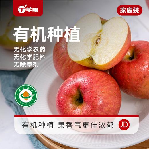 有机苹果 有机种植 天然好味道 整箱包装 有机苹果新年礼品 商品图1