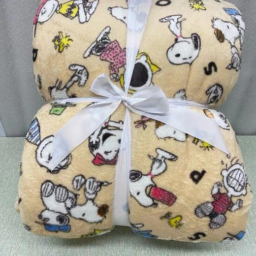 出口🇯🇵日本Nitori多层絎缝吸湿发热亲肤加厚毛毯 毯被 翻头被 商品图1