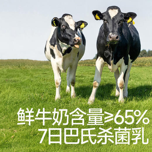 秋田满满--婴幼儿DHA鲜牛乳溶豆(浓醇奶香)18g 商品图1