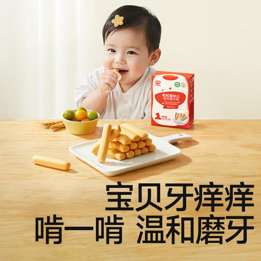 秋田满满--有机婴幼儿磨牙棒64g 商品图2