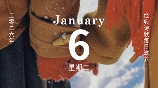 什么是真正的爱？ 商品图0