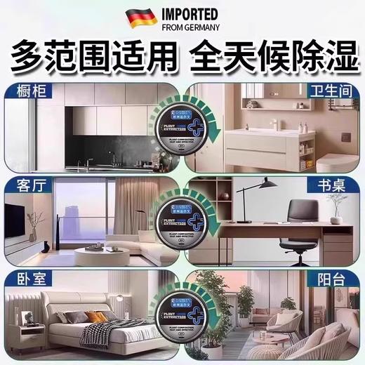 欧洲达尔文黑色挂件吸附湿气全天候清洁空气持久省心清除神器 商品图1